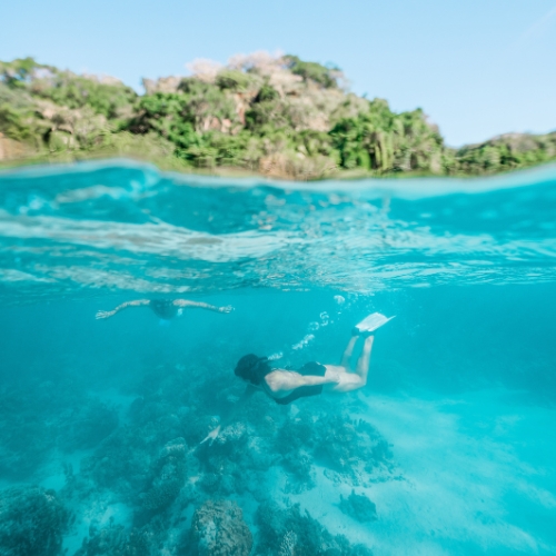 Half-submerged view of a snorkeler swimming above a coral reef in clear turquoise water, with a lush tropical island and blue sky beyond.