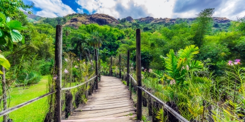 Wooden footbridge winds through a lush tropical garden toward rugged mountains beneath blue skies and clouds, creating a peaceful, inviting scene.