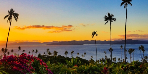 Sunset over a tropical ocean, with tall palm trees and distant mountains silhouetted against a golden sky and vibrant flowers in front.