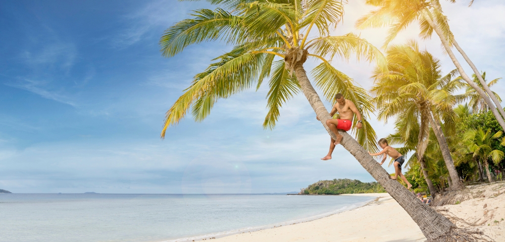 Tropical beach with calm turquoise water, white sand, and two people climbing a leaning palm tree under bright, sunny skies, creating a serene mood.