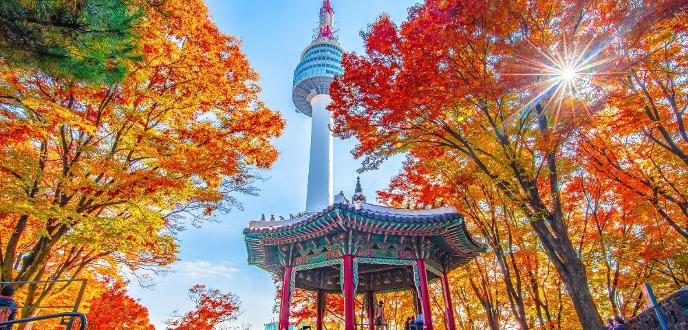 A vibrant autumn scene featuring Namsan Tower in South Korea surrounded by colorful fall foliage, with a traditional pavilion in the foreground.