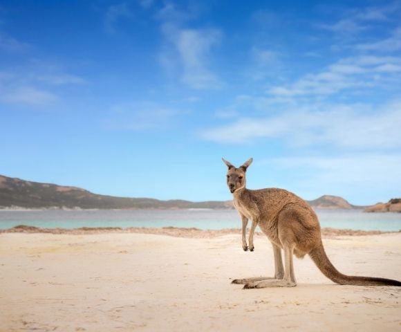 Fly Free^ Exploration | Sydney to Bangkok Discovery - Gallery Image