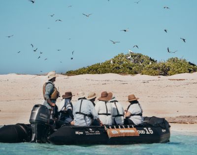 A group of people in a small boat near a beach with birds flying overhead and greenery in the background.