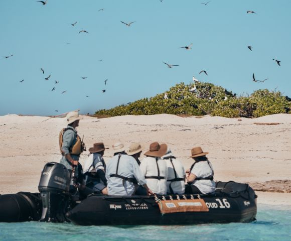 A group of people in a small boat near a beach with birds flying overhead and greenery in the background.