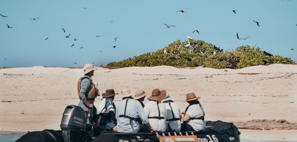 A group of people in a small boat near a beach with birds flying overhead and greenery in the background.