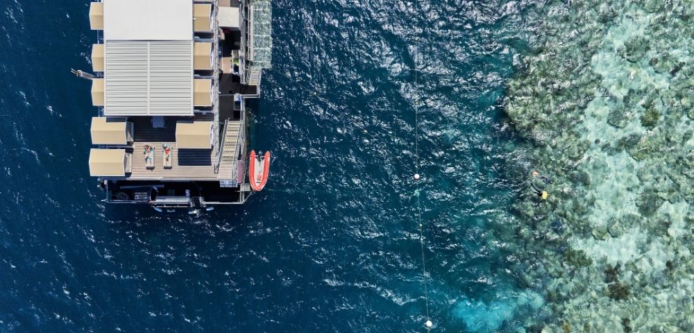 Aerial view of a floating pontoon at a coral reef with people sunbathing on deck and snorkeling in the clear blue water.