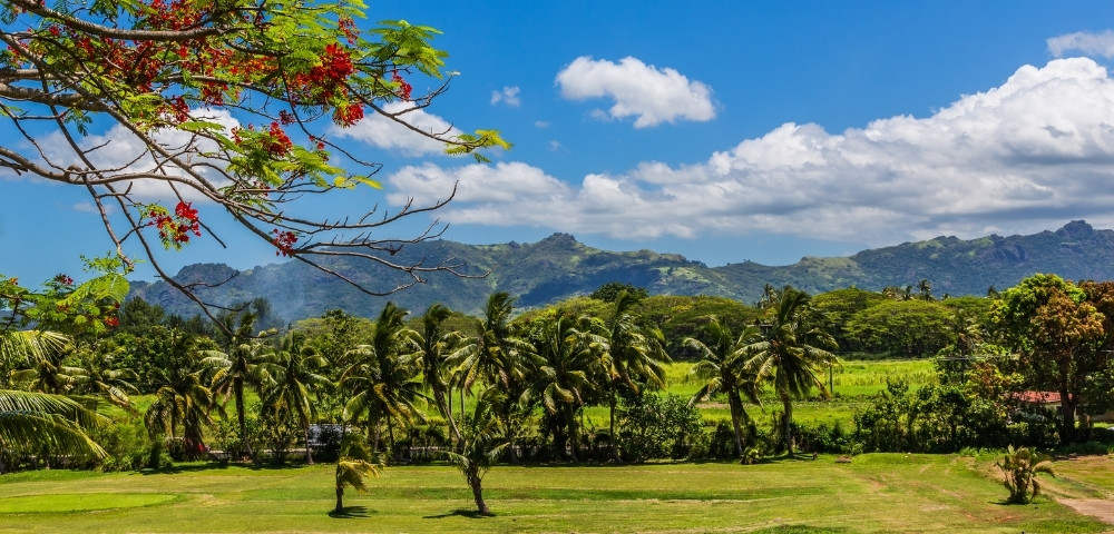 Tropical landscape with palm trees and a green lawn beneath a flowering branch, framed by rugged mountains and bright blue, cloud-filled sky.