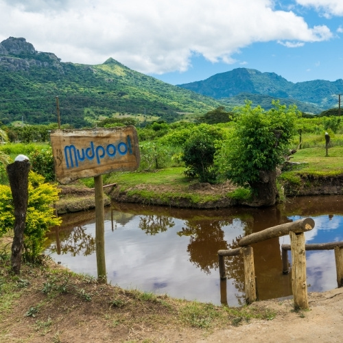 Tropical mountain landscape with a mudpool, rustic footbridge, lush greenery, and a hand-painted “Mudpool” sign beneath bright clouds.