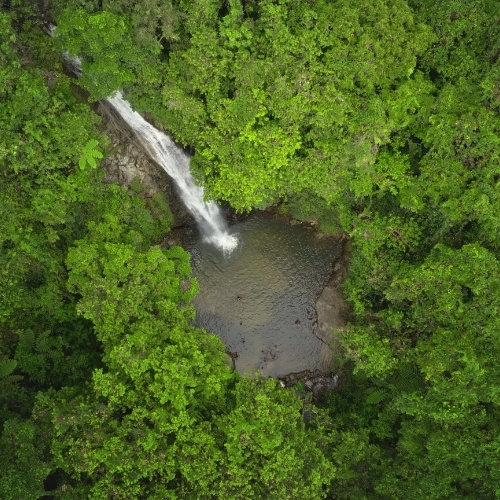 Aerial view of a small waterfall flowing into a clear forest pool, surrounded by dense, vibrant green rainforest; peaceful, secluded mood.
