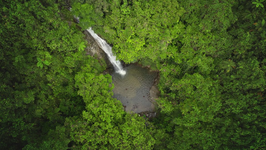 Aerial view of a small waterfall flowing into a clear forest pool, surrounded by dense, vibrant green rainforest; peaceful, secluded mood.