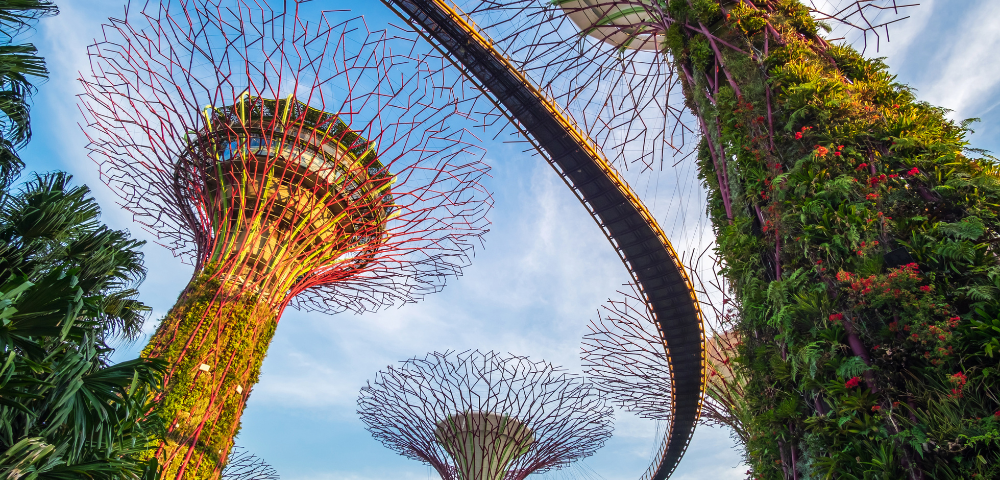 Explorations by Norwegian Asia Campaign - Gallery Image