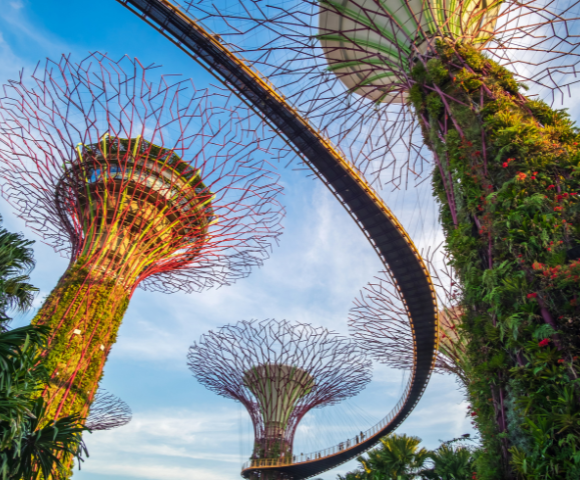 Explorations by Norwegian Asia Campaign - Gallery Image