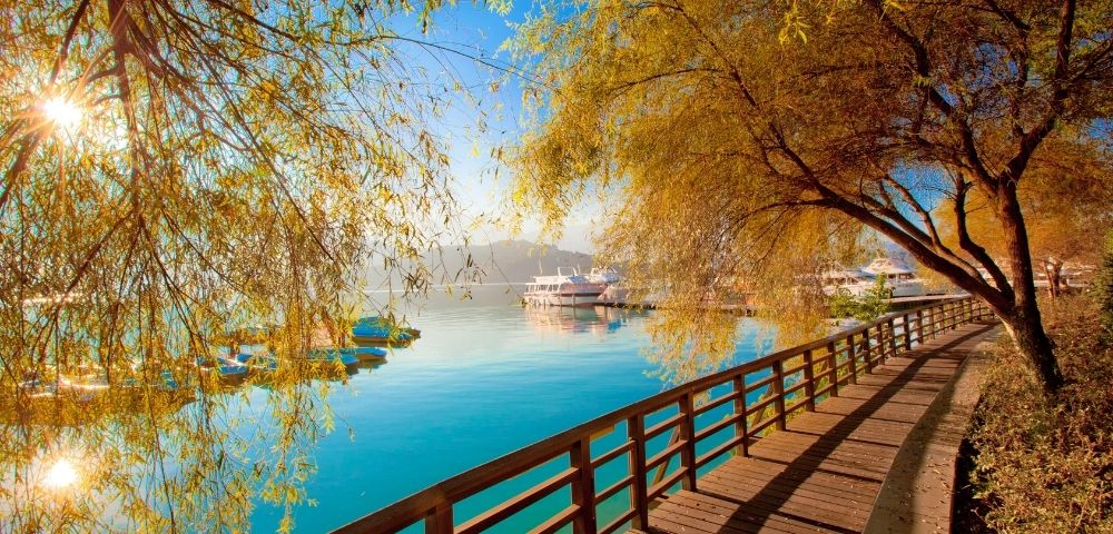 A wooden boardwalk curves along a bright blue lake, framed by golden autumn willow trees with a distant boat docked under a clear sunny sky.