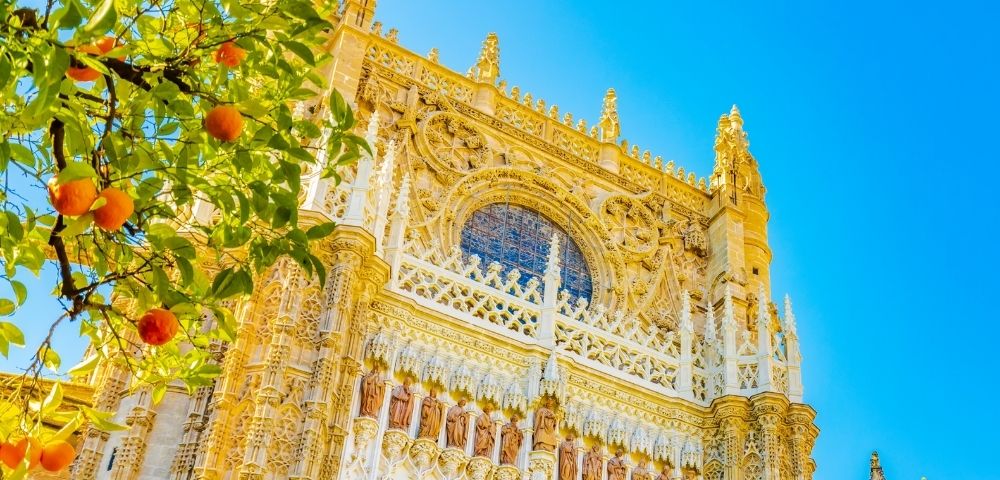 Ornate Gothic cathedral facade rises beneath a clear blue sky, framed by leafy branches and orange fruit; intricate stone carvings create a grand tone.