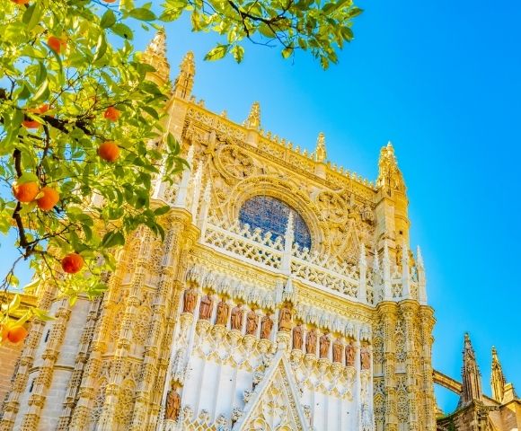 Ornate Gothic cathedral facade rises beneath a clear blue sky, framed by leafy branches and orange fruit; intricate stone carvings create a grand tone.