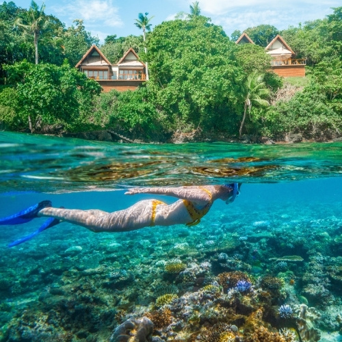 Split-view tropical scene: a snorkeler glides above a colorful coral reef, with turquoise water and lush island villas under sunny skies.