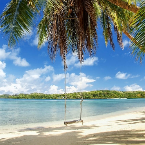 Wooden swing hangs from a coconut palm over a white sandy beach, facing calm turquoise water, green hills, and a bright sky.