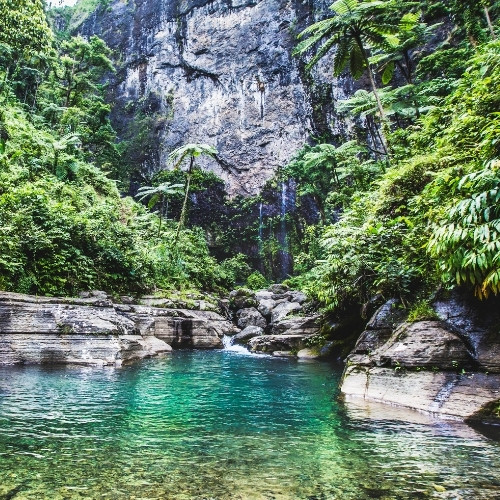Turquoise jungle pool beneath a towering gray limestone cliff, surrounded by lush tropical plants and cascading rocks; serene, secluded mood.
