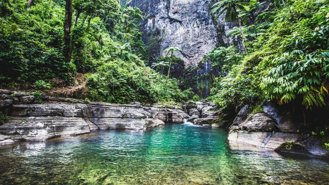 Turquoise jungle pool beneath a towering gray limestone cliff, surrounded by lush tropical plants and cascading rocks; serene, secluded mood.