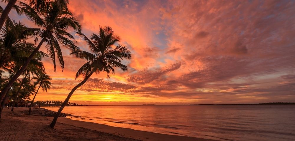 Tropical beach at sunset, with leaning palm trees silhouetted against vivid orange-pink clouds and calm ocean waves; serene mood.