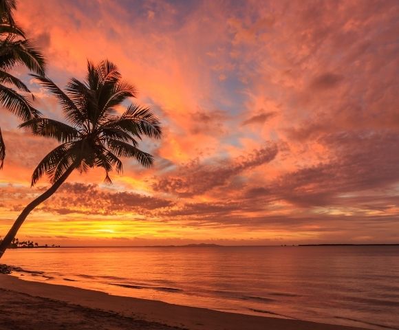 Tropical beach at sunset, with leaning palm trees silhouetted against vivid orange-pink clouds and calm ocean waves; serene mood.