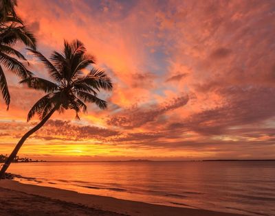 Tropical beach at sunset, with leaning palm trees silhouetted against vivid orange-pink clouds and calm ocean waves; serene mood.