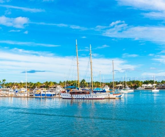 Bright blue tropical marina with sailboats and yachts moored on calm turquoise water, palm trees along shore beneath a cloud-streaked sky.