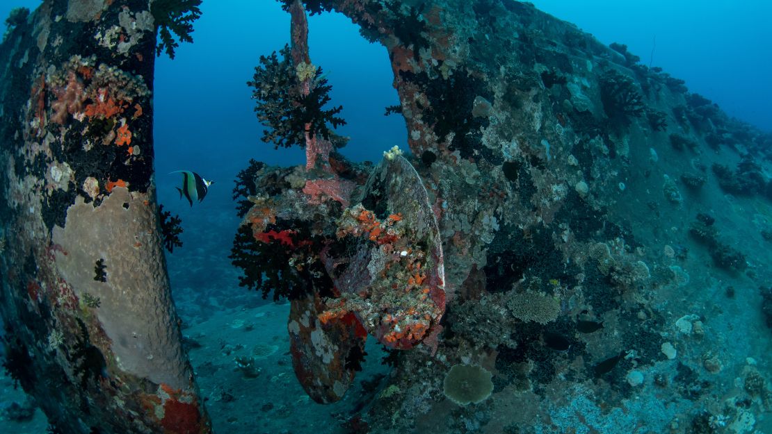 Underwater shipwreck encrusted with coral and sea life, framed by blue ocean; colorful fish swim among rusted metal, creating an eerie scene.