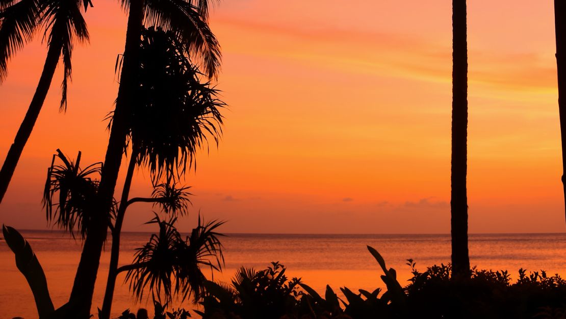 Silhouetted palm trees and tropical foliage frame a calm ocean at sunset, glowing orange and pink beneath a peaceful evening sky.
