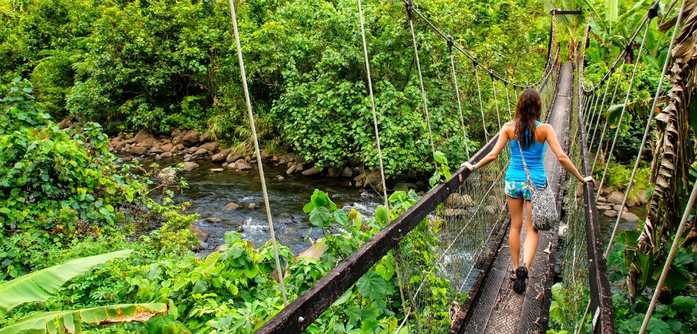 Woman walking across a narrow suspension bridge over a jungle stream, surrounded by lush tropical rainforest; adventurous mood.