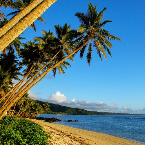 Tropical beach lined with leaning palm trees, bright blue ocean, and distant islands under a clear sky; serene mood.