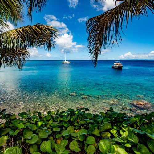 Tropical beach framed by palm fronds, with clear turquoise water, two sailboats, coral shallows, and lush greenery beneath a bright blue sky.