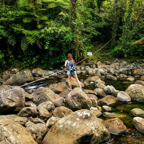 Hiker crosses a rocky jungle stream using a rope, surrounded by lush ferns and moss-covered boulders in a peaceful, adventurous setting.