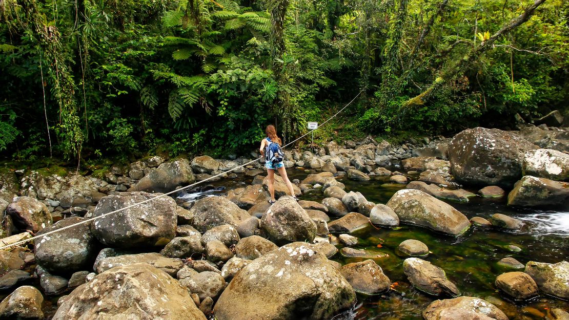 Hiker crosses a rocky jungle stream using a rope, surrounded by lush ferns and moss-covered boulders in a peaceful, adventurous setting.
