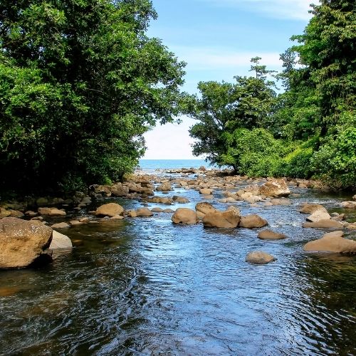 A clear rocky stream flows through lush green trees toward a blue lake, with sunlit boulders and calm water creating a peaceful scene.