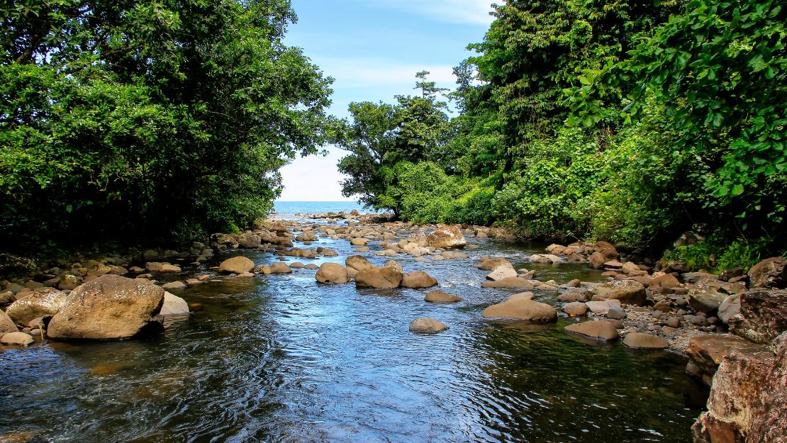 A clear rocky stream flows through lush green trees toward a blue lake, with sunlit boulders and calm water creating a peaceful scene.