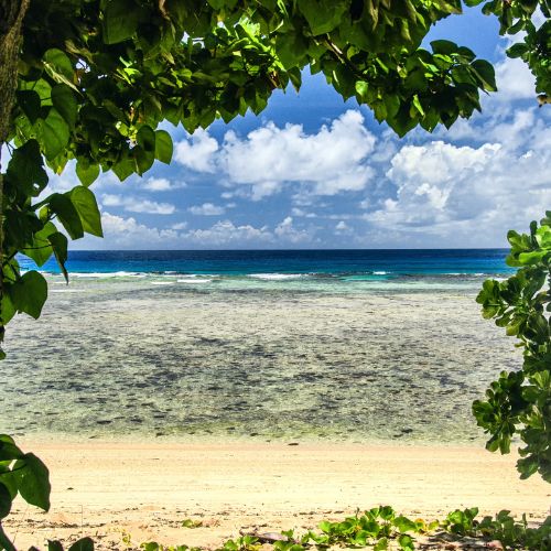 Tropical beach framed by lush green leaves, with pale sand, clear shallow turquoise water, deep blue sea, and bright cloudy sky, serene.