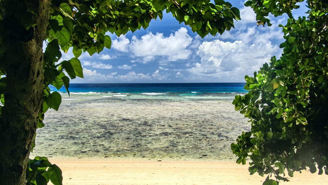 Tropical beach framed by lush green leaves, with pale sand, clear shallow turquoise water, deep blue sea, and bright cloudy sky, serene.