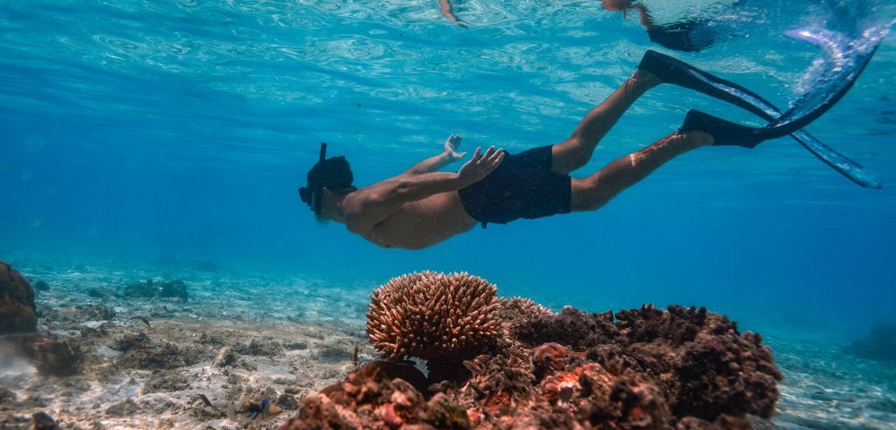 Underwater view of a person snorkeling with fins, swimming over a coral reef in clear blue water.