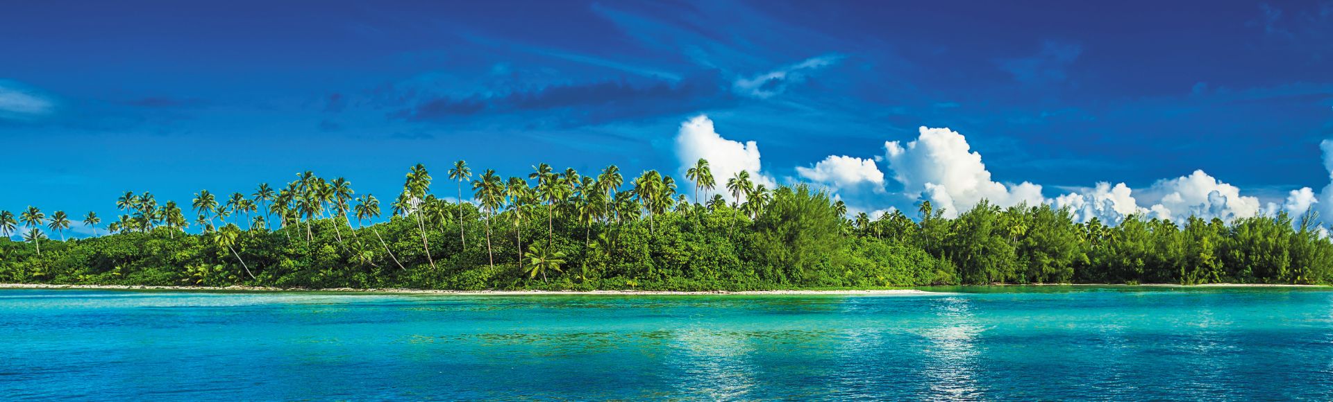 A vibrant panorama of a tropical island with lush green foliage, including many palm trees, extending across a white sandy beach, all bordered by the clear, turquoise waters of the ocean under a bright blue sky dotted with white fluffy clouds.