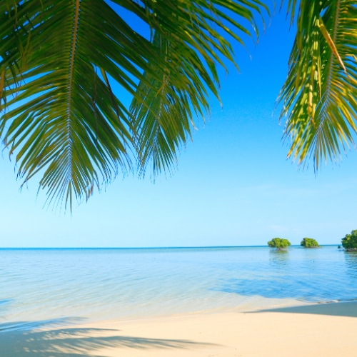 Tropical beach framed by palm fronds, with calm turquoise water, pale sand, tiny green islets, and a cloudless blue sky creating a serene mood.