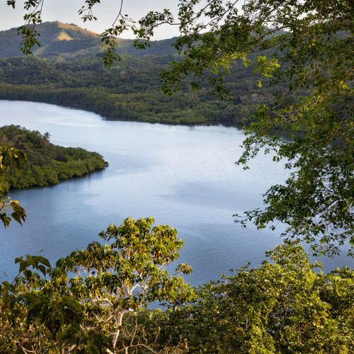Serene mountain lake framed by leafy branches, with forested hills, a sunlit peak, and lush greenery creating a peaceful tropical landscape.