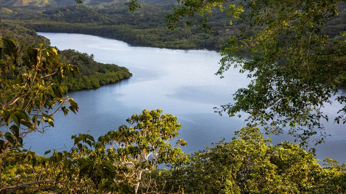 Serene mountain lake framed by leafy branches, with forested hills, a sunlit peak, and lush greenery creating a peaceful tropical landscape.