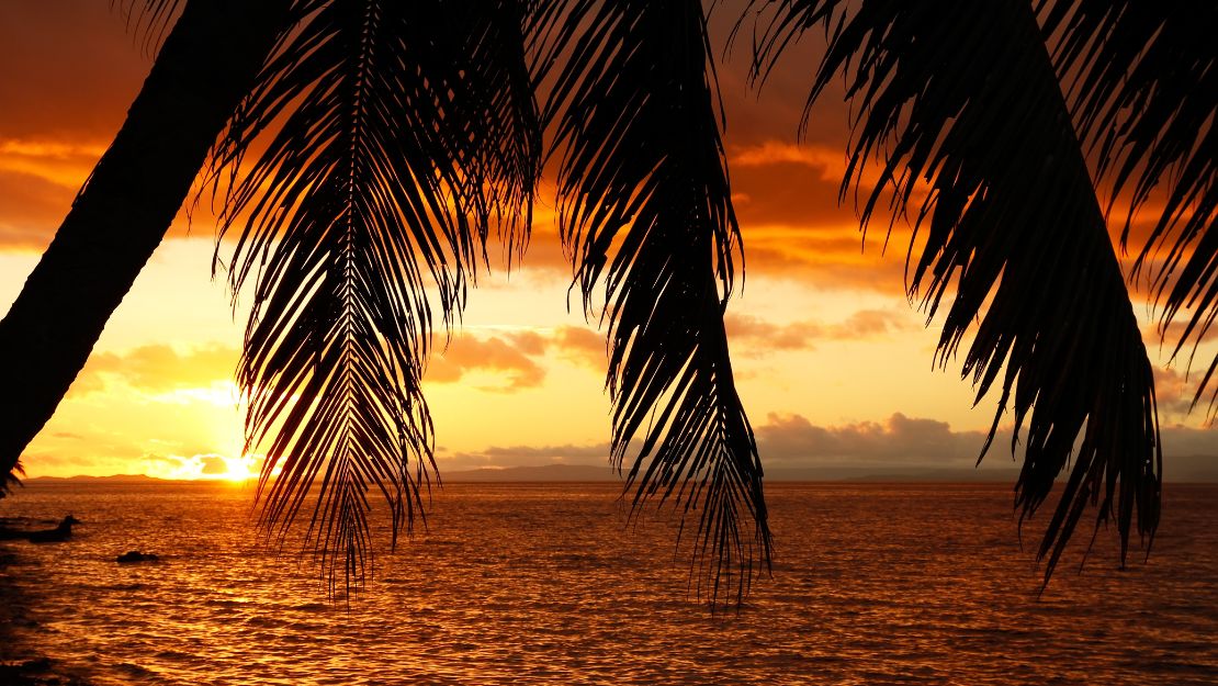 Silhouetted palm fronds frame a glowing orange sunset over calm ocean water, casting golden reflections and creating a warm, tranquil mood.