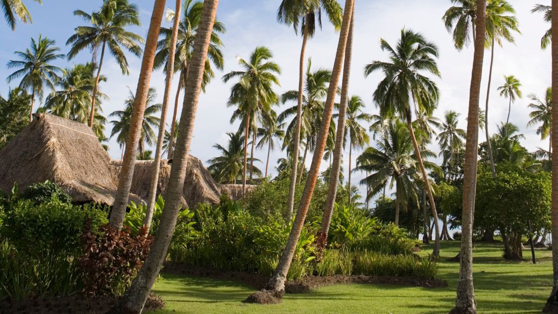 Tall coconut palms shade a lush tropical resort garden with thatched huts, green lawn, and blue sky, creating a calm, idyllic mood.