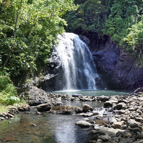 Sunlit waterfall plunges over dark rocks into a clear forest pool, with a rocky stream in the foreground creating a peaceful scene.
