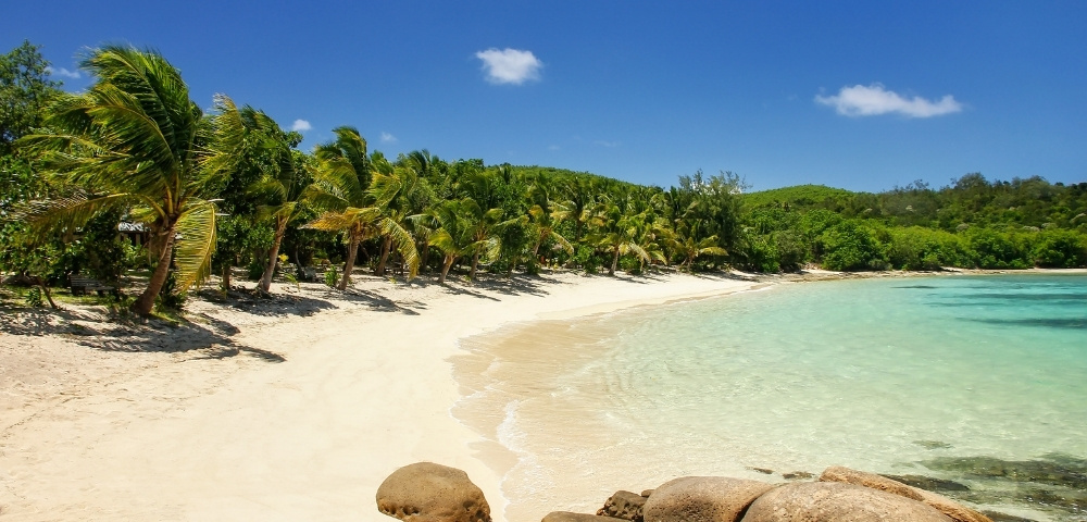 Tropical beach with swaying palm trees, white sand, turquoise shallows, smooth rocks, and lush greenery beneath a bright blue sky.