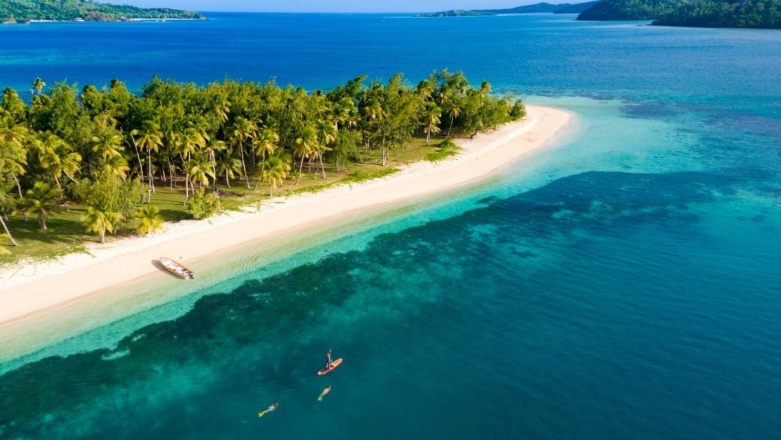 Aerial view of a tropical island beach with palm trees, white sand, turquoise water, a kayak, and people paddleboarding in a serene setting.
