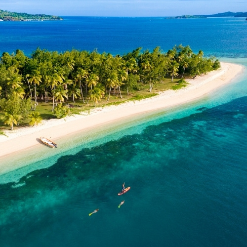 Aerial view of a tropical island beach with palm trees, white sand, turquoise water, a kayak, and people paddleboarding in a serene setting.