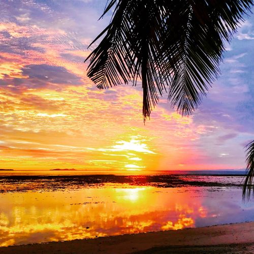 Palm fronds frame a vivid tropical sunset over calm reflective water, glowing in orange, pink, and purple hues with a peaceful mood.